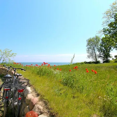 アパート Strandnahe Mit Balkon, Gratis Nutzung Vom Ahoi Erlebnisbad Und Sauna In Sellin - Rex Rugia 30-7 *