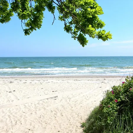 Strandnahe Mit Balkon, Gratis Nutzung Vom Ahoi Erlebnisbad Und Sauna In Sellin - Rex Rugia 30-7 Appartamento Lobbe